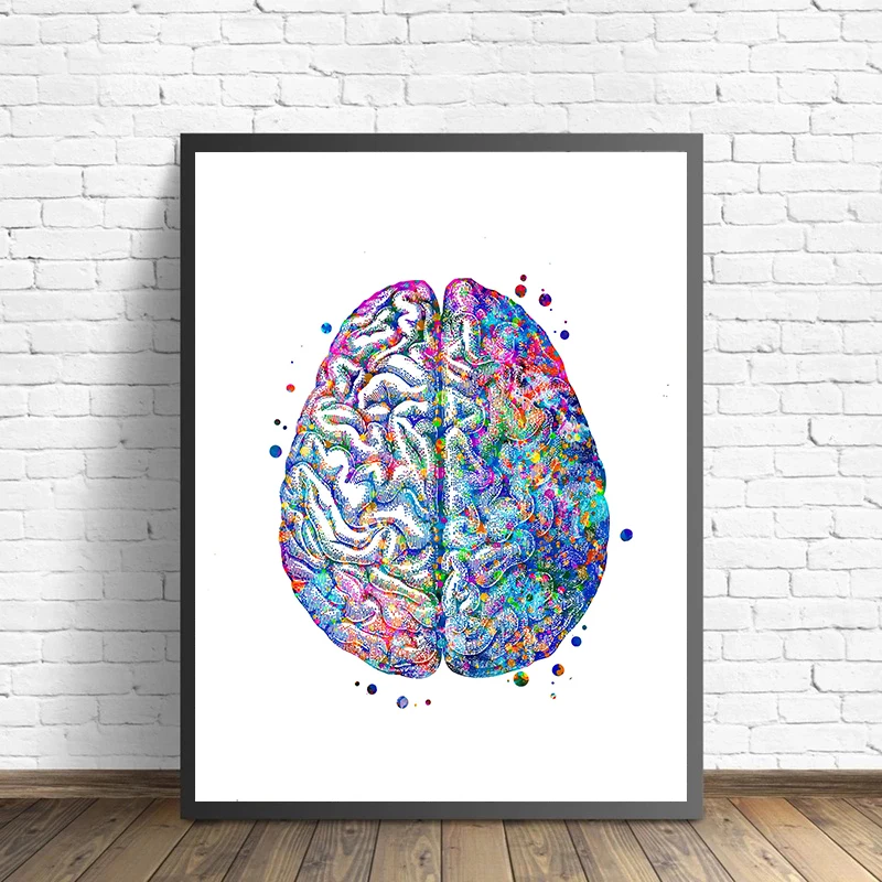 Anatomy Medical Poster Flower  - Medical Lab Pictures ulasan dan harga