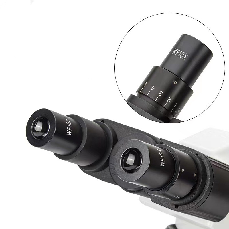 Real Picture WF10x Eyepieces 4 - Medical Lab Pictures ulasan dan harga