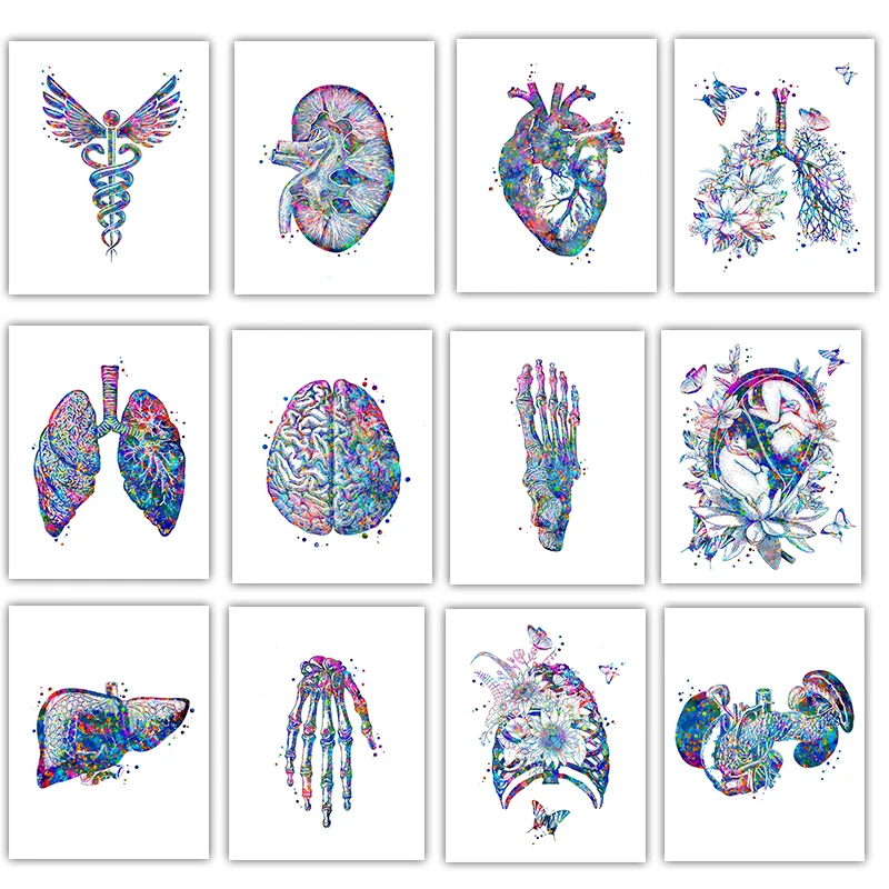 Anatomy Medical Poster Flower  - Medical Lab Pictures ulasan dan harga
