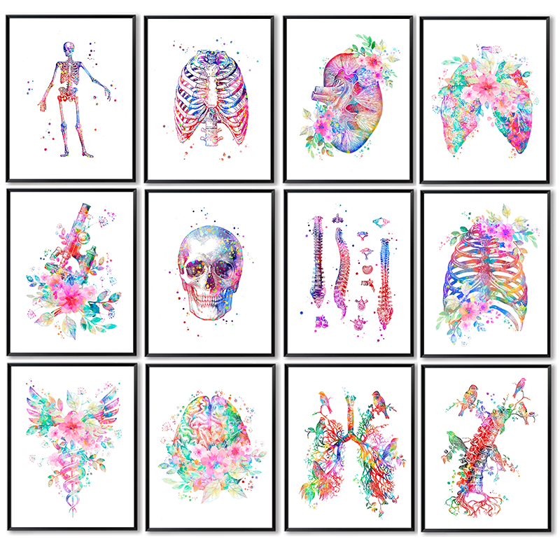 Anatomy Medical Poster Flower  - Medical Lab Pictures ulasan dan harga