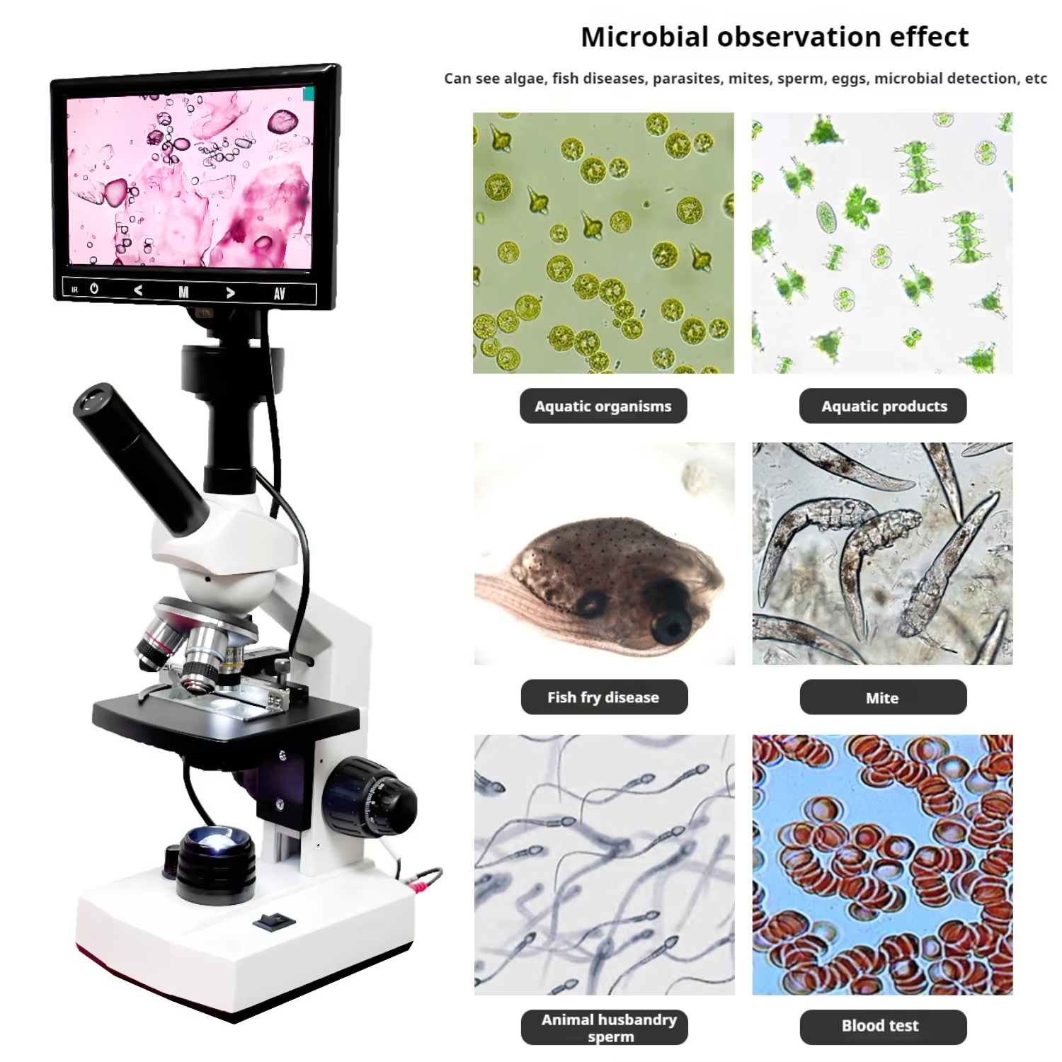 Top Selling HD Screen Digital  - Medical Laboratory ulasan dan harga
