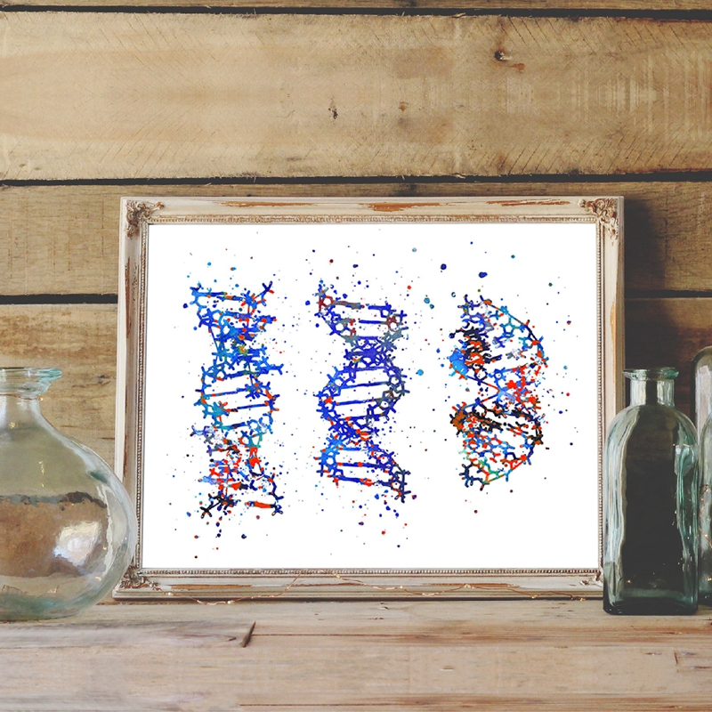 DNA Molecule Print Modern Medi - Medical Lab Pictures ulasan dan harga