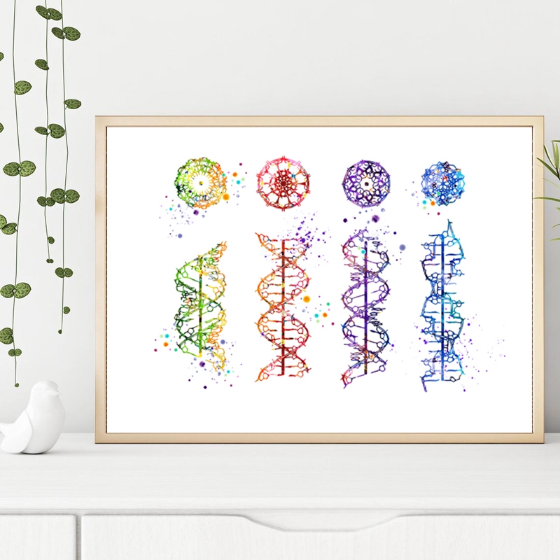 DNA Molecule Print Modern Medi - Medical Lab Pictures ulasan dan harga