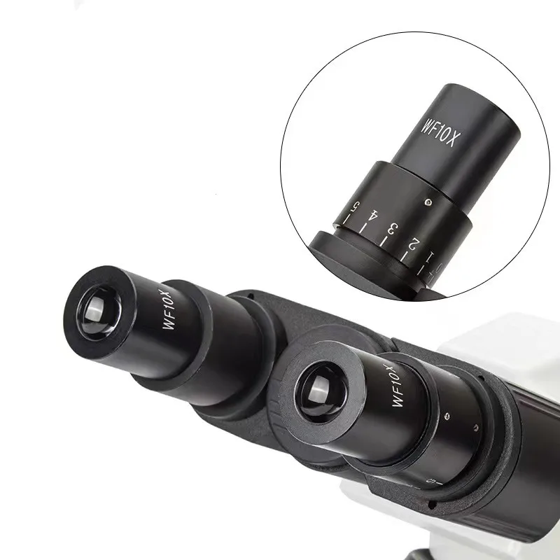Real Picture WF10x Eyepieces 4 - Medical Lab Pictures ulasan dan harga